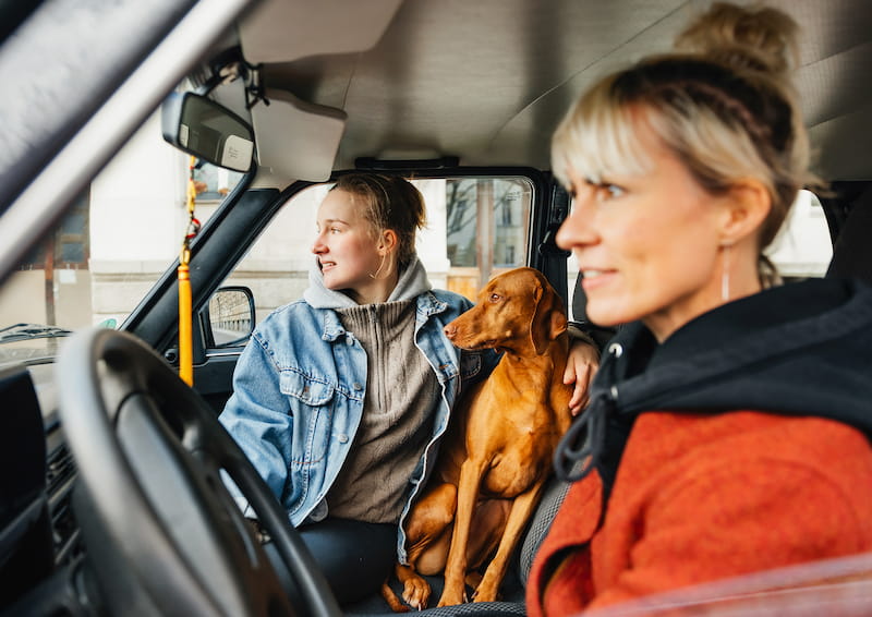 bußgelder für autofahrer im oktober 2024